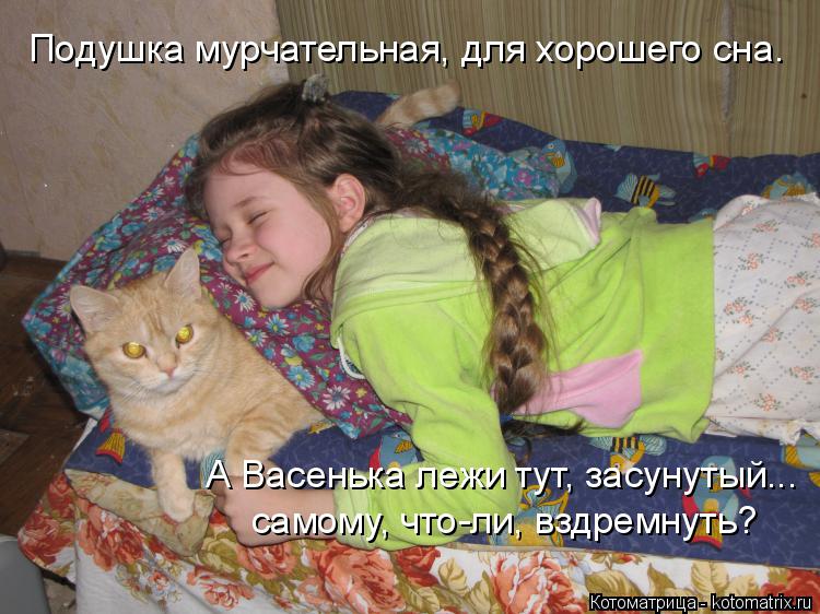 Подушка мурчательная, для хорошего сна. А Васенька лежи тут, засунутый... самому, что-ли, вздремнуть... Котоматрица: Подушка мурчательная, для хорошего сна. А Васенька лежи тут, засунутый... самому, что-ли, вздремнуть?