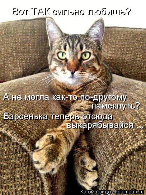 Вот ТАК сильно любишь? А не могла как-то по-другому Барсенька теперь отсюда выкарябывайся ... намек... Котоматрица: Вот ТАК сильно любишь? А не могла как-то по-другому Барсенька теперь отсюда выкарябывайся ... намекнуть?