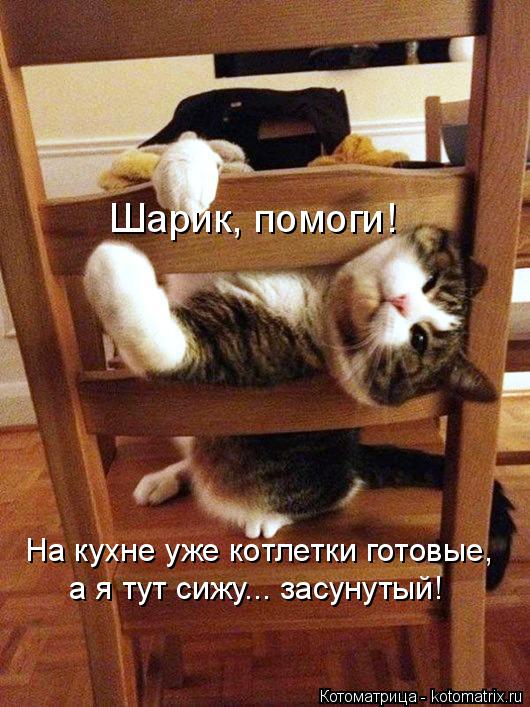 Шарик, помоги! На кухне уже котлетки готовые, а я тут сижу... засунутый!... Котоматрица: Шарик, помоги! На кухне уже котлетки готовые, а я тут сижу... засунутый!