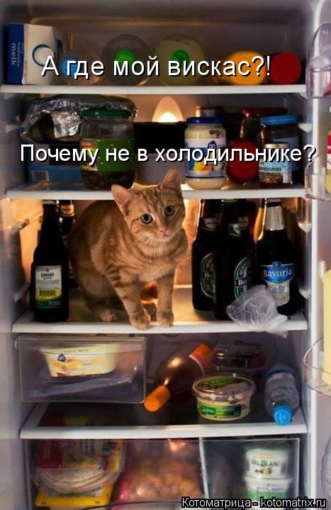 А где мой вискас?! Почему не в холодильнике?... Котоматрица: А где мой вискас?! Почему не в холодильнике?