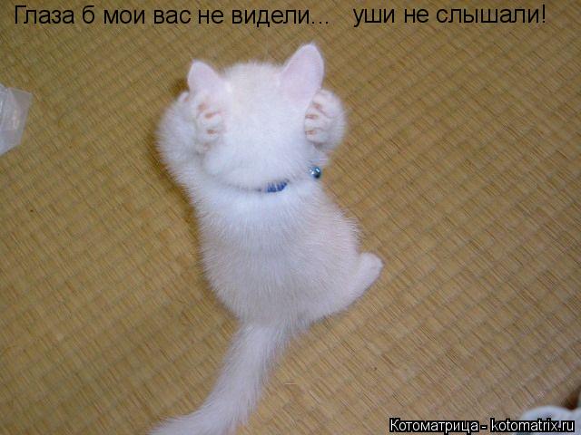 Глаза б мои вас не видели... уши не слышали!... Котоматрица: Глаза б мои вас не видели... уши не слышали!