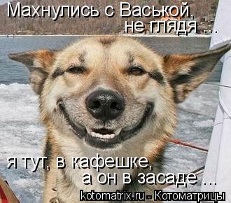 Махнулись с Васькой, не глядя ... я тут, в кафешке, а он в засаде ...... Котоматрица: Махнулись с Васькой, не глядя ... я тут, в кафешке, а он в засаде ...