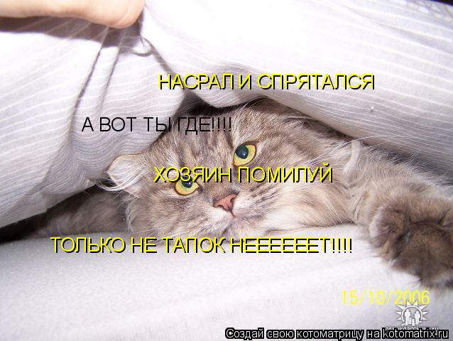 НАСРАЛ И СПРЯТАЛСЯ А ВОТ ТЫ ГДЕ!!!! ХОЗЯИН ПОМИЛУЙ ТОЛЬКО НЕ ТАПОК НЕЕЕЕЕЕТ!!!!... Котоматрица: НАСРАЛ И СПРЯТАЛСЯ А ВОТ ТЫ ГДЕ!!!! ХОЗЯИН ПОМИЛУЙ ТОЛЬКО НЕ ТАПОК НЕЕЕЕЕЕТ!!!!