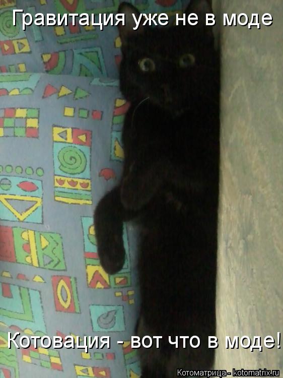 Гравитация уже не в моде Котовация - вот что в моде!... Котоматрица: Гравитация уже не в моде Котовация - вот что в моде!