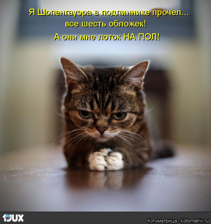 Котоматрица: Я Шопенгауэра в подлиннике прочел... все шесть обложек! А они мне лоток НА ПОЛ!