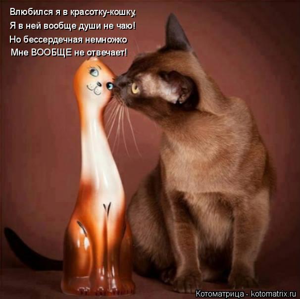 Влюбился я в красотку-кошку, Я в ней вообще души не чаю! Но бессердечная немножко Мне ВООБЩЕ не отвеч... Котоматрица: Влюбился я в красотку-кошку, Я в ней вообще души не чаю! Но бессердечная немножко Мне ВООБЩЕ не отвечает!
