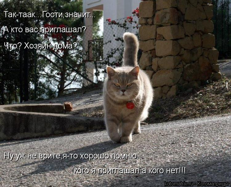 Котоматрица: Так-таак...Гости,значит... А кто вас приглашал? Что? Хозяин дома? Ну уж не врите,я-то хорошо помню, кого я приглашал а кого нет!!!