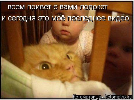 всем привет с вами лолокэт и сегодня это моё последнее видео... Котоматрица: всем привет с вами лолокэт и сегодня это моё последнее видео