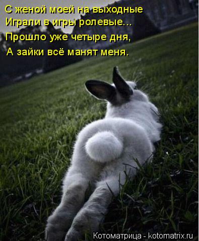С женой моей на выходные Играли в игры ролевые... Прошло уже четыре дня, А зайки всё манят меня.... Котоматрица: С женой моей на выходные Играли в игры ролевые... Прошло уже четыре дня, А зайки всё манят меня.