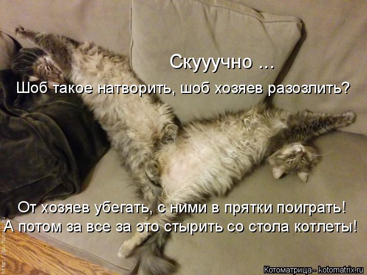 Скууучно ... Шоб такое натворить, шоб хозяев разозлить? От хозяев убегать, с ними в прятки поиграть! ... Котоматрица: Скууучно ... Шоб такое натворить, шоб хозяев разозлить? От хозяев убегать, с ними в прятки поиграть! А потом за все за это стырить со стола кот