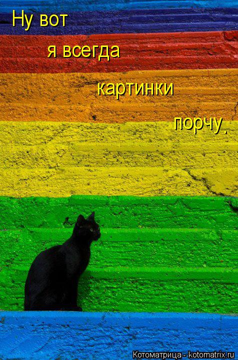 Ну вот я всегда картинки порчу .... Котоматрица: Ну вот я всегда картинки порчу .
