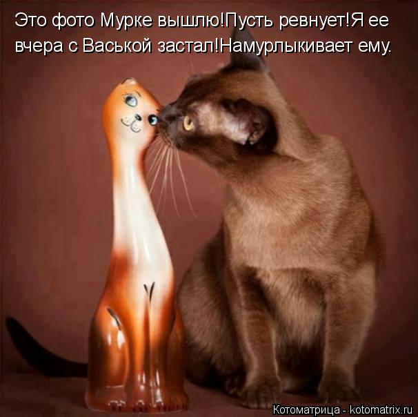 Это фото Мурке вышлю!Пусть ревнует!Я ее вчера с Васькой застал!Намурлыкивает ему.... Котоматрица: Это фото Мурке вышлю!Пусть ревнует!Я ее вчера с Васькой застал!Намурлыкивает ему.