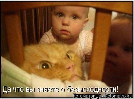 Да что вы знаете о безысходности!... Котоматрица: Да что вы знаете о безысходности!