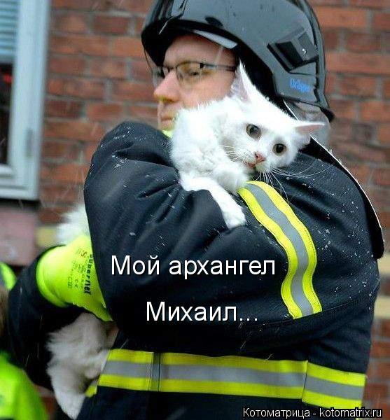Мой архангел Михаил...... Котоматрица: Мой архангел Михаил...