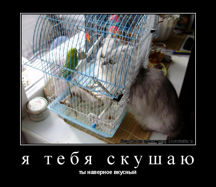 я тебя скушаю ты наверное вкусный... Котоматрица: я тебя скушаю ты наверное вкусный