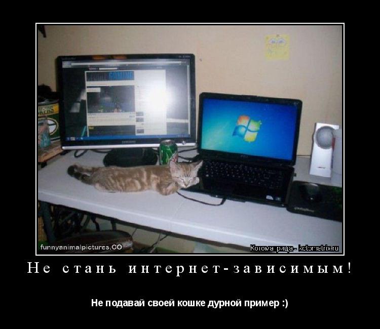 Не стань интернет-зависимым! Не подавай своей кошке дурной пример :)... Котоматрица: Не стань интернет-зависимым! Не подавай своей кошке дурной пример :)