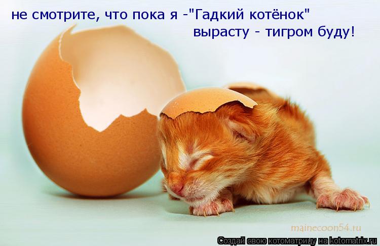 не смотрите, что пока я -"Гадкий котёнок" вырасту - тигром буду!... Котоматрица: не смотрите, что пока я -"Гадкий котёнок" вырасту - тигром буду!