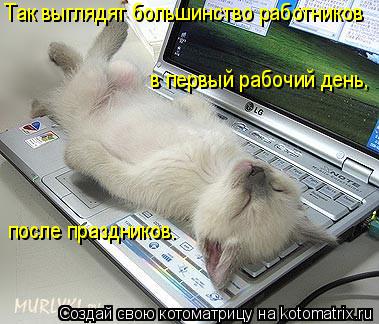 Так выглядят большинство работников в первый рабочий день, после праздников.... Котоматрица: Так выглядят большинство работников в первый рабочий день, после праздников.