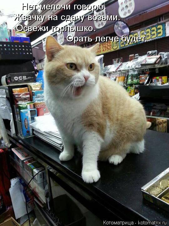 Котоматрица: Нет мелочи говорю. Жвачку на сдачу возьми. Освежи горлышко. Орать легче будет.