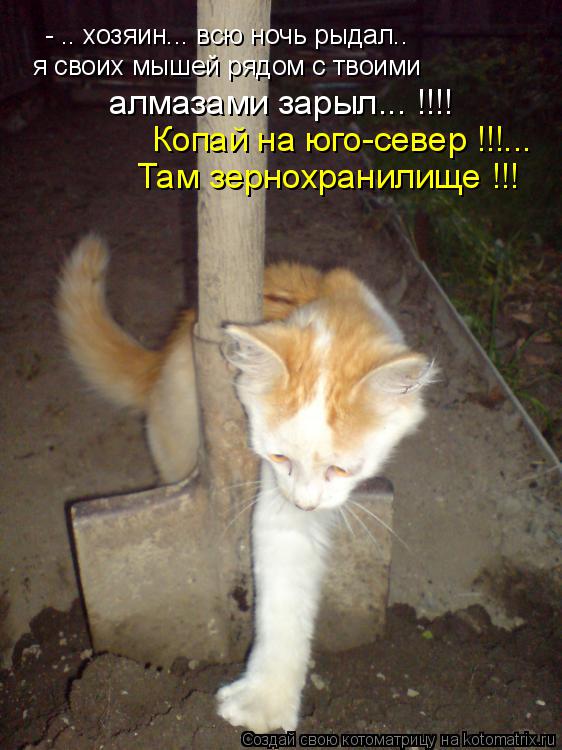 - .. хозяин... всю ночь рыдал.. я своих мышей рядом с твоими алмазами зарыл... !!!! Копай на юго-сев... Котоматрица: - .. хозяин... всю ночь рыдал.. я своих мышей рядом с твоими алмазами зарыл... !!!! Копай на юго-север !!!... Там зернохранилище !!!