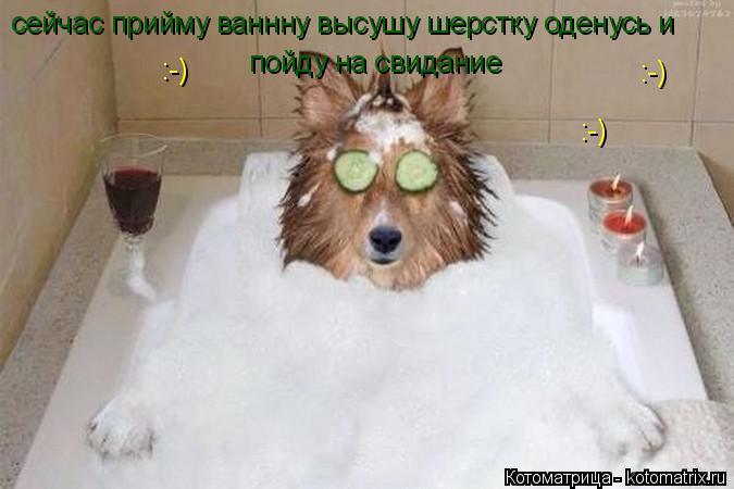 Котоматрица: сейчас прийму ваннну высушу шерстку оденусь и пойду на свидание :-) :-) :-)