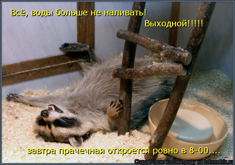 Всё, воды больше не наливать! Выходной!!!!! завтра прачечная откроется ровно в 8-00....... Котоматрица: Всё, воды больше не наливать! Выходной!!!!! завтра прачечная откроется ровно в 8-00....