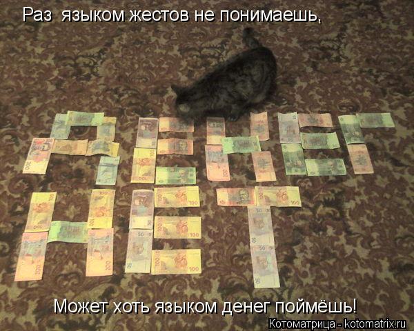Раз языком жестов не понимаешь, Может хоть языком денег поймёшь!... Котоматрица: Раз языком жестов не понимаешь, Может хоть языком денег поймёшь!