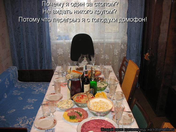 Почему я один за столом? Не видать никого кругом? Потому что перегрыз я с голодухи домофон!... Котоматрица: Почему я один за столом? Не видать никого кругом? Потому что перегрыз я с голодухи домофон!