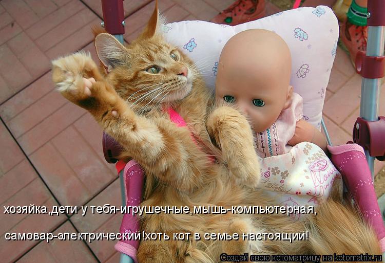 Котоматрица: хозяйка,дети у тебя-игрушечные,мышь-компьютерная, самовар-электрический!хоть кот в семье настоящий!