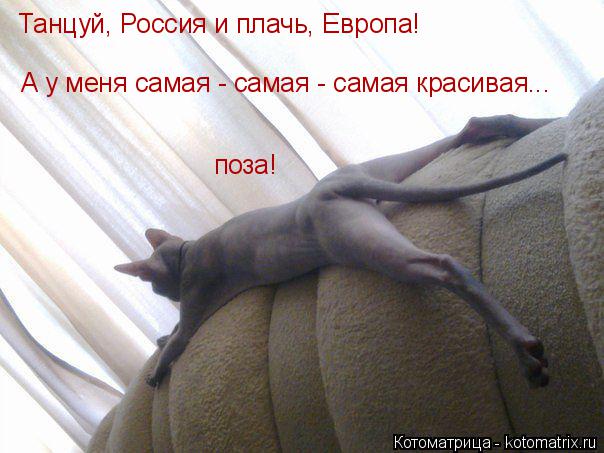 Котоматрица: Танцуй, Россия и плачь, Европа!   А у меня самая - самая - самая красивая...  поза!