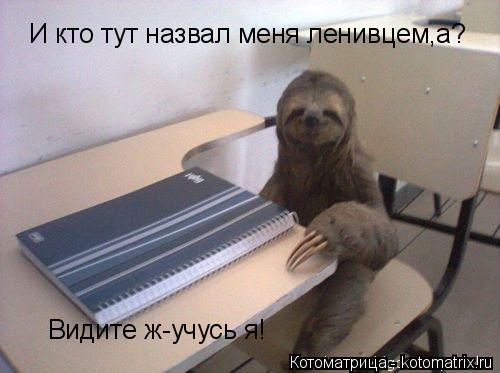 И кто тут назвал меня ленивцем,а? Видите ж-учусь я!... Котоматрица: И кто тут назвал меня ленивцем,а? Видите ж-учусь я!