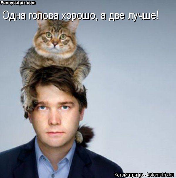 Одна голова хорошо, а две лучше!... Котоматрица: Одна голова хорошо, а две лучше!