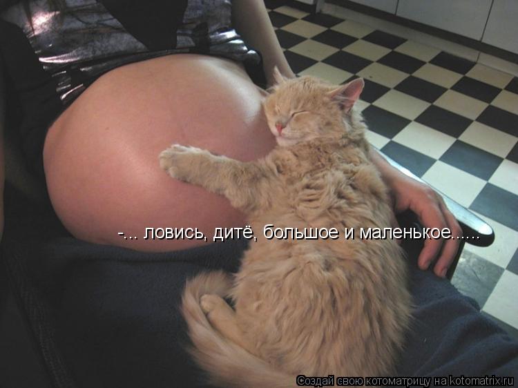 -... ловись, дитё, большое и маленькое......... Котоматрица: -... ловись, дитё, большое и маленькое......