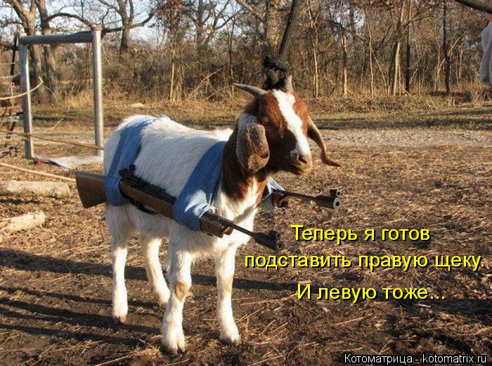 Теперь я готов подставить правую щеку. И левую тоже...... Котоматрица: Теперь я готов подставить правую щеку. И левую тоже...