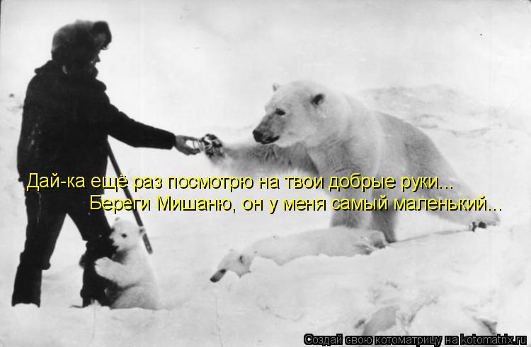 Дай-ка ещё раз посмотрю на твои добрые руки... Береги Мишаню, он у меня самый маленький...... Котоматрица: Дай-ка ещё раз посмотрю на твои добрые руки... Береги Мишаню, он у меня самый маленький...