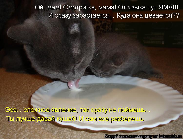 Ой, мам! Смотри-ка, мама! От языка тут ЯМА!!! И сразу зарастается... Куда она девается?? Эээ... сложн... Котоматрица: Ой, мам! Смотри-ка, мама! От языка тут ЯМА!!! И сразу зарастается... Куда она девается?? Эээ... сложное явление, так сразу не поймешь... Ты лучше дав