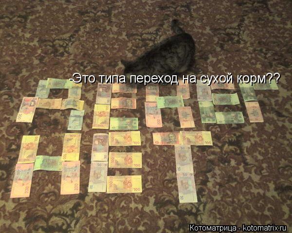 -Это типа переход на сухой корм??... Котоматрица: -Это типа переход на сухой корм??