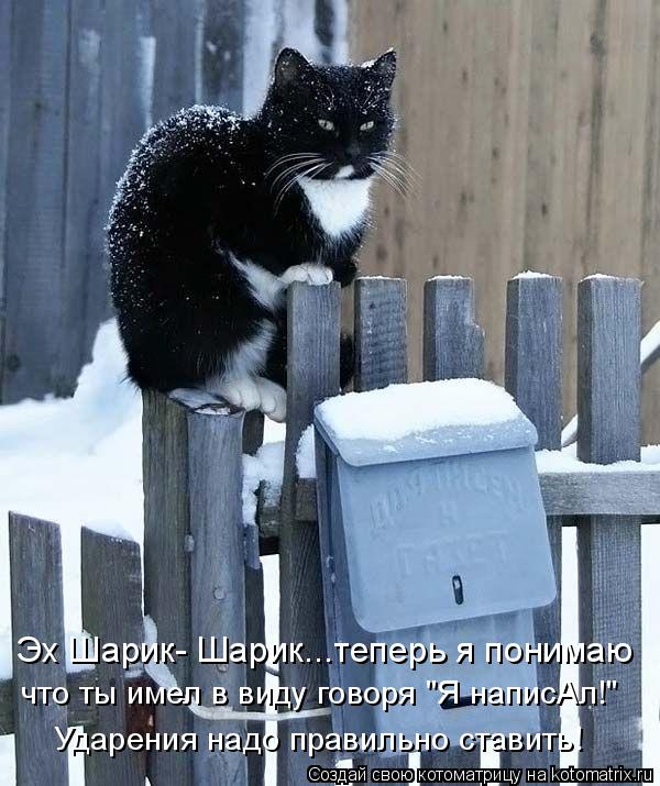 Эх Шарик- Шарик...теперь я понимаю что ты имел в виду говоря "Я написАл!" Ударения надо правильно ста... Котоматрица: Эх Шарик- Шарик...теперь я понимаю что ты имел в виду говоря "Я написАл!" Ударения надо правильно ставить!