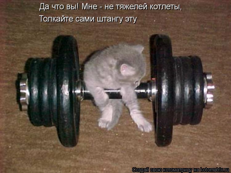 Котоматрица: Да что вы! Мне - не тяжелей котлеты, Толкайте сами штангу эту