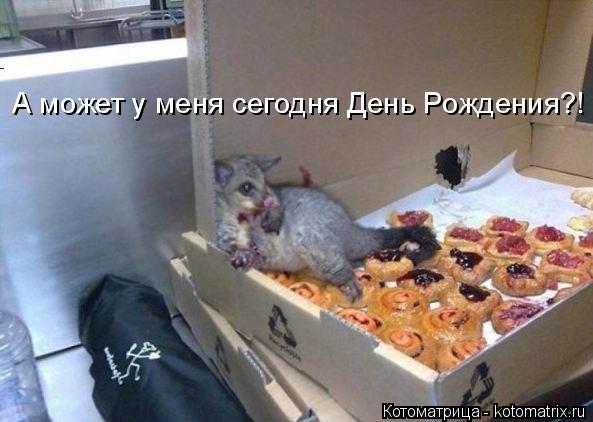 А может у меня сегодня День Рождения?!... Котоматрица: А может у меня сегодня День Рождения?!