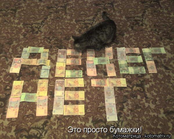 Это просто бумажки!... Котоматрица: Это просто бумажки!