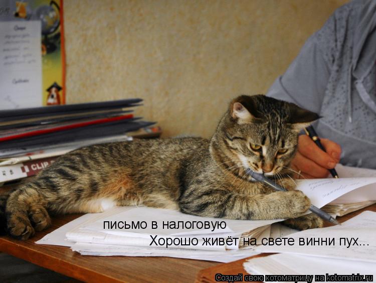 письмо в налоговую Хорошо живёт на свете винни пух...... Котоматрица: письмо в налоговую Хорошо живёт на свете винни пух...
