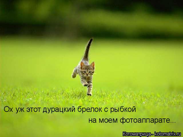 Ох уж этот дурацкий брелок с рыбкой на моем фотоаппарате...... Котоматрица: Ох уж этот дурацкий брелок с рыбкой на моем фотоаппарате...