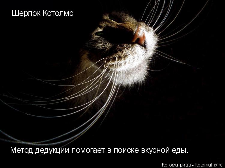 Шерлок Котолмс Метод дедукции помогает в поиске вкусной еды.... Котоматрица: Шерлок Котолмс Метод дедукции помогает в поиске вкусной еды.