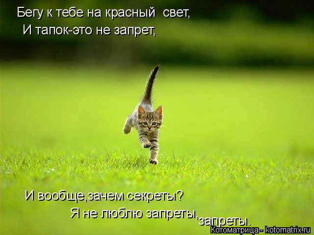 Бегу к тебе на красный свет, И тапок-это не запрет, И вообще,зачем секреты? Я не люблю запреты, зап... Котоматрица: Бегу к тебе на красный свет, И тапок-это не запрет, И вообще,зачем секреты? Я не люблю запреты, запреты.