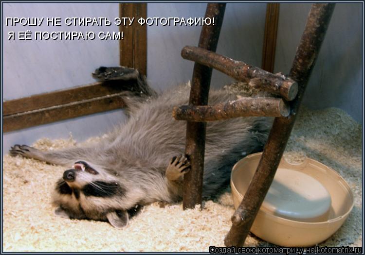 Котоматрица: ПРОШУ НЕ СТИРАТЬ ЭТУ ФОТОГРАФИЮ! Я ЕЁ ПОСТИРАЮ САМ!