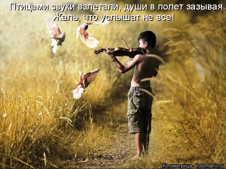 Котоматрица: Птицами звуки взлетали, души в полет зазывая. Жаль, что услышат не все!