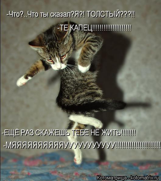 -Что?..Что ты сказал?Я?! ТОЛСТЫЙ???!! -ТЕ КАПЕЦ!!!!!!!!!!!!!!!!!!!!! -ЕЩЁ РАЗ СКАЖЕШЬ ТЕБЕ НЕ ЖИТЬ!!!... Котоматрица: -Что?..Что ты сказал?Я?! ТОЛСТЫЙ???!! -ТЕ КАПЕЦ!!!!!!!!!!!!!!!!!!!!! -ЕЩЁ РАЗ СКАЖЕШЬ ТЕБЕ НЕ ЖИТЬ!!!!!!!! -МЯЯЯЯЯЯЯЯЯЯУУУУУУУУУУУ!!!!!!!!!!!!!!!!!!!!!!!!!!!!!!!!!!!!!!!!!!