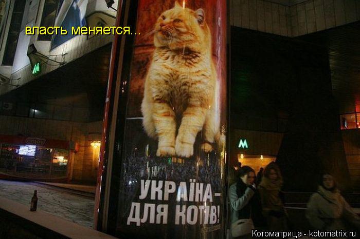 Котоматрица: власть меняется...
