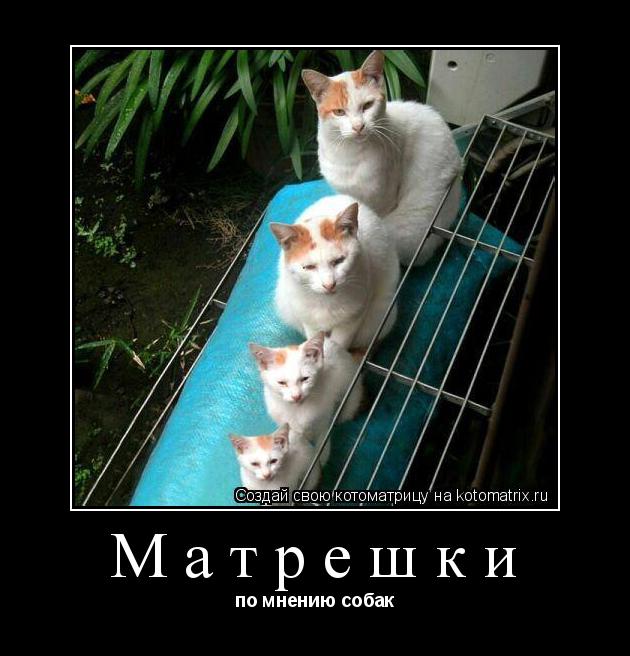 Матрешки по мнению собак... Котоматрица: Матрешки по мнению собак